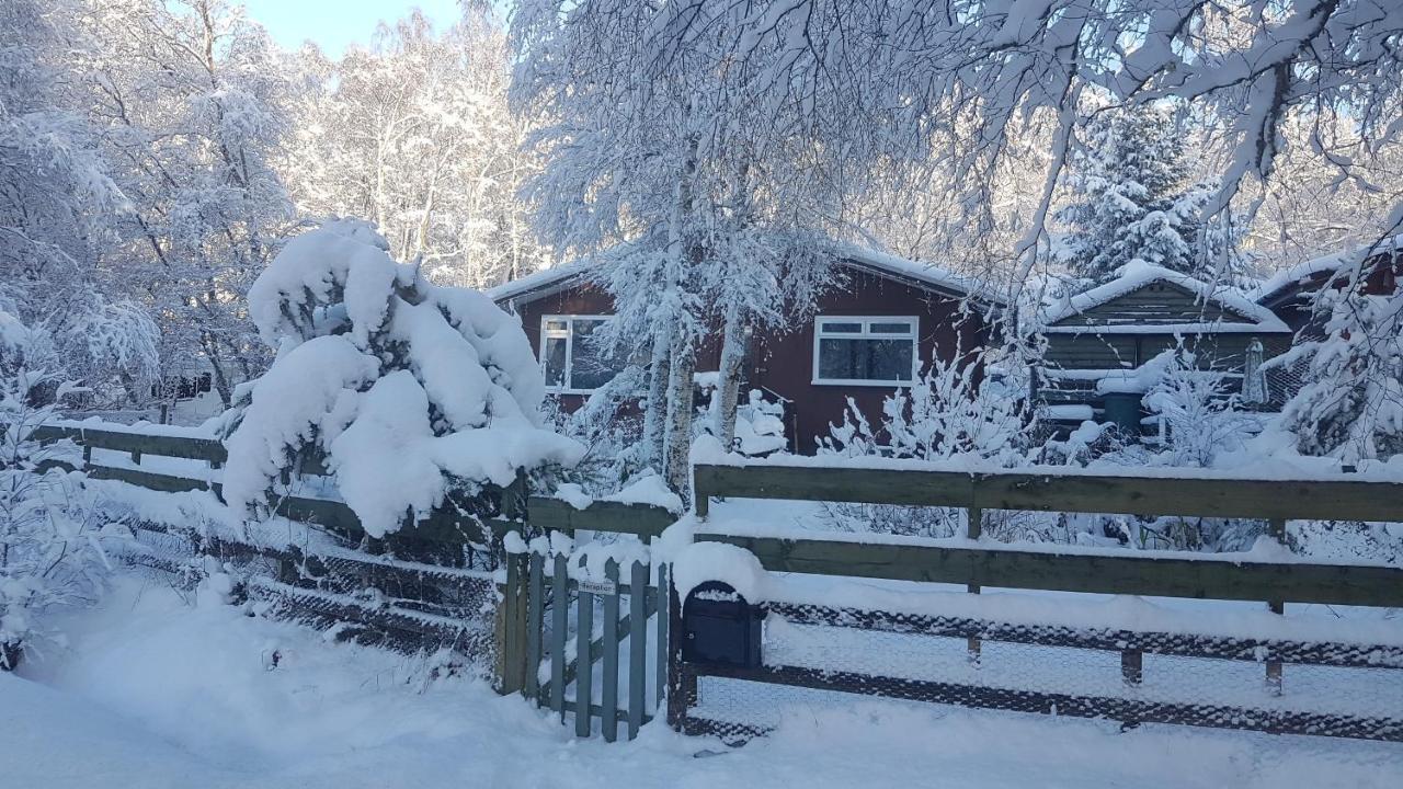 Torcroft Lodges Drumnadrochit Εξωτερικό φωτογραφία