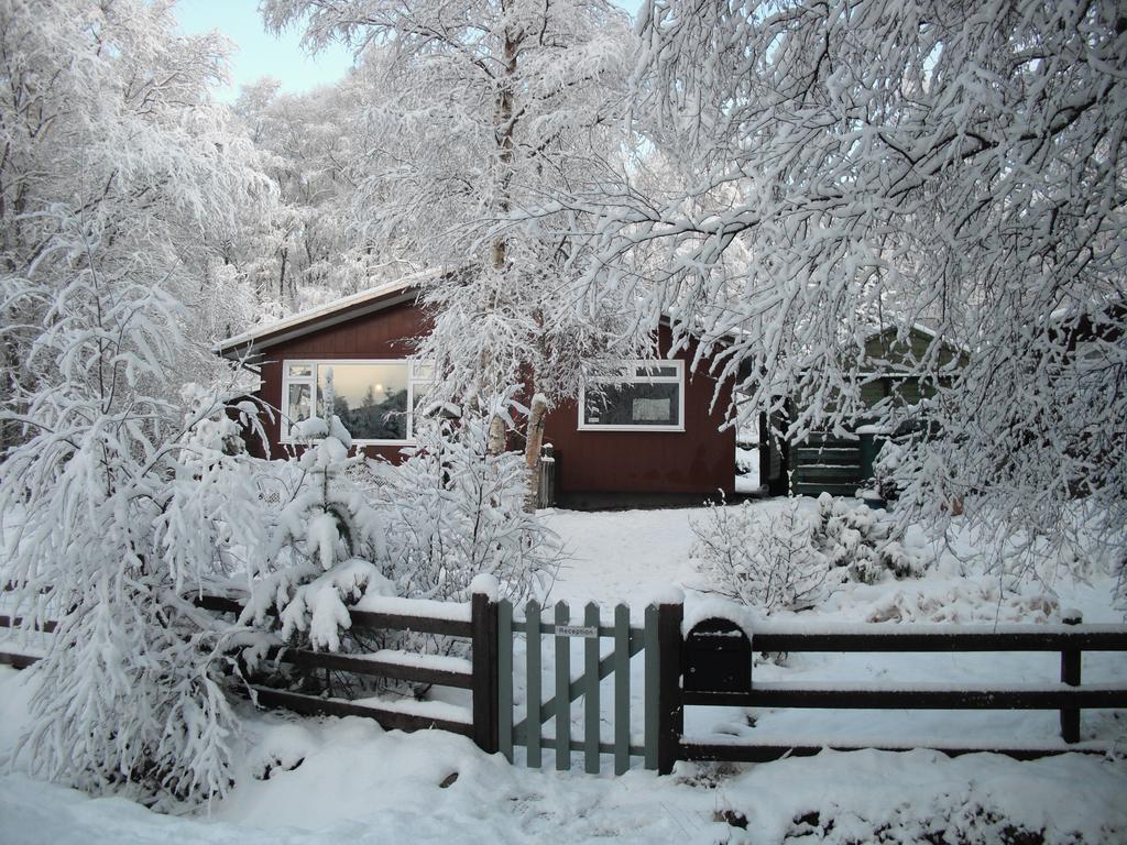 Torcroft Lodges Drumnadrochit Δωμάτιο φωτογραφία
